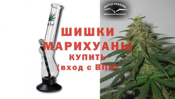 PSILOCYBIN Карталы