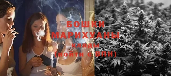 сатива Касимов