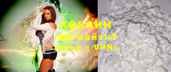 PSILOCYBIN Карталы