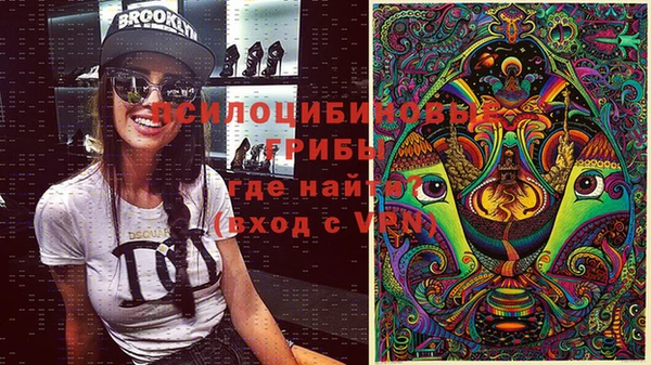 сатива Касимов