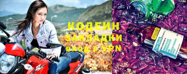 PSILOCYBIN Карталы
