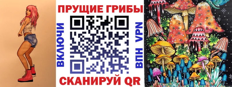 Псилоцибиновые грибы Cubensis  Купить где  Новокузнецк 