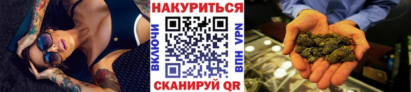Шишки марихуана гибрид  Купить закладки  Новокузнецк 